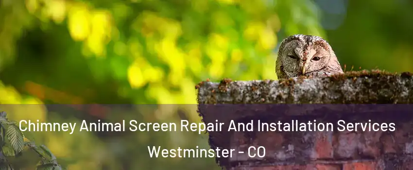 Chimney Animal Screen Repair And Installation Services Westminster - CO