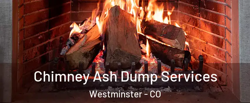 Chimney Ash Dump Services Westminster - CO