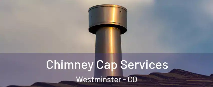 Chimney Cap Services Westminster - CO