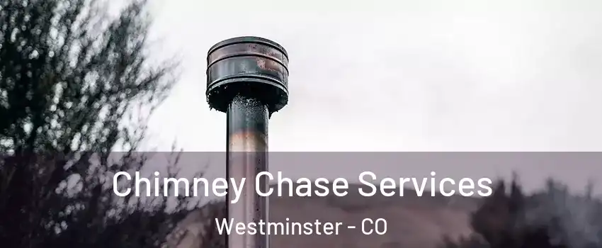 Chimney Chase Services Westminster - CO