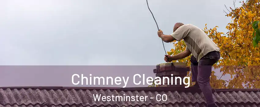 Chimney Cleaning Westminster - CO