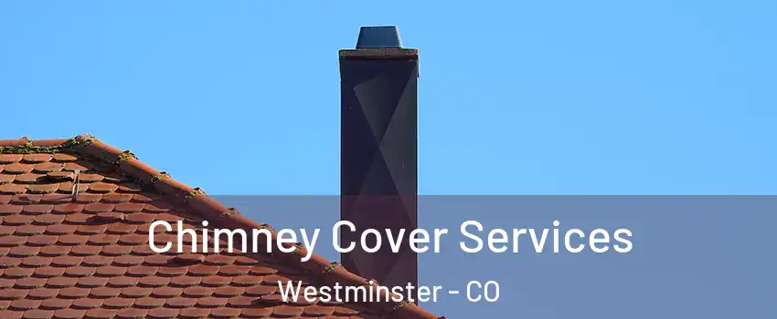 Chimney Cover Services Westminster - CO