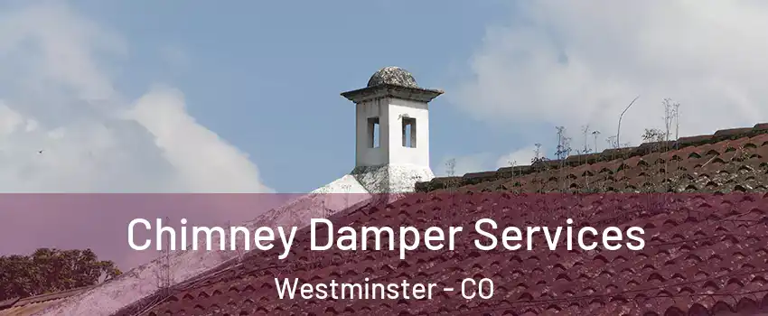 Chimney Damper Services Westminster - CO