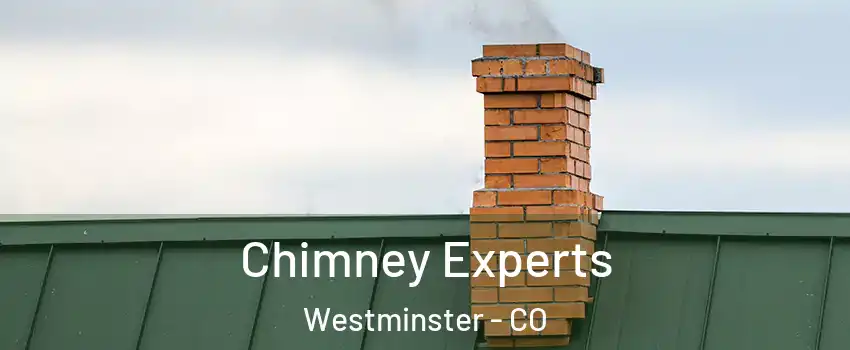 Chimney Experts Westminster - CO