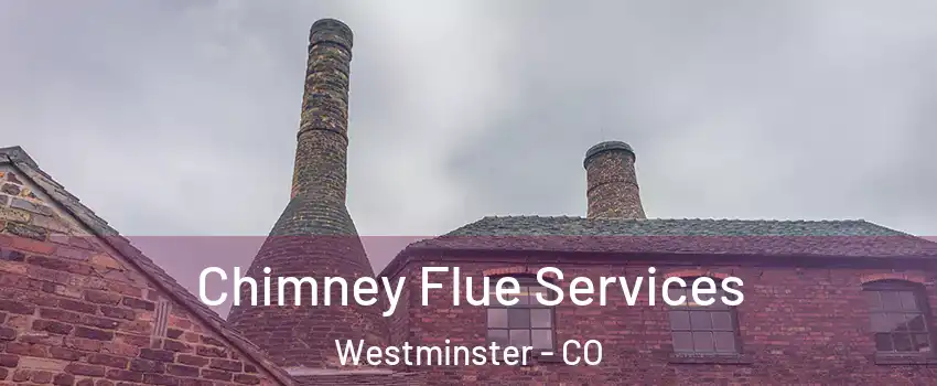 Chimney Flue Services Westminster - CO
