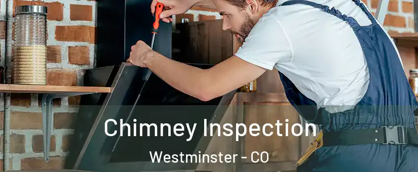 Chimney Inspection Westminster - CO