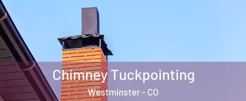 Chimney Tuckpointing Westminster - CO