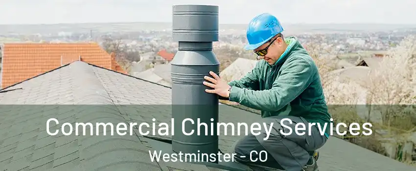 Commercial Chimney Services Westminster - CO