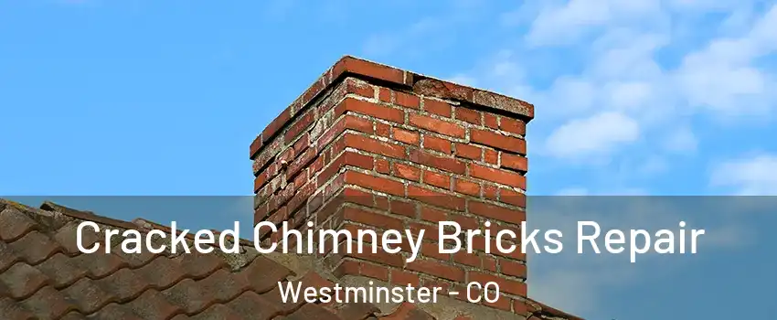 Cracked Chimney Bricks Repair Westminster - CO