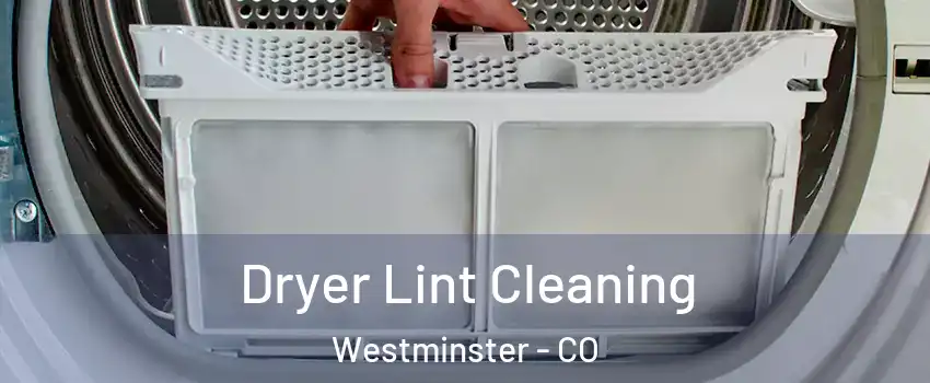 Dryer Lint Cleaning Westminster - CO