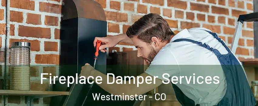 Fireplace Damper Services Westminster - CO