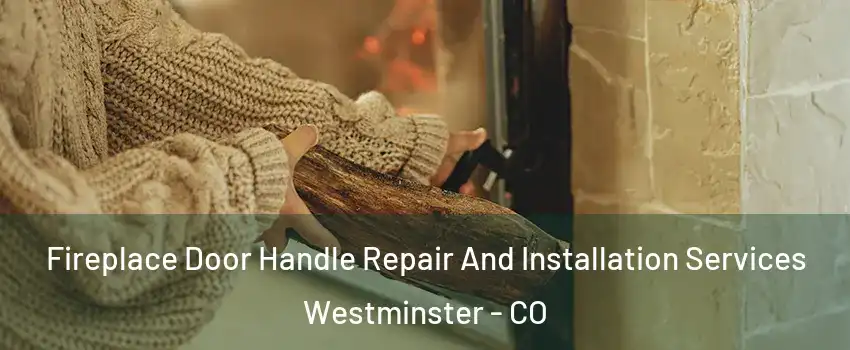 Fireplace Door Handle Repair And Installation Services Westminster - CO