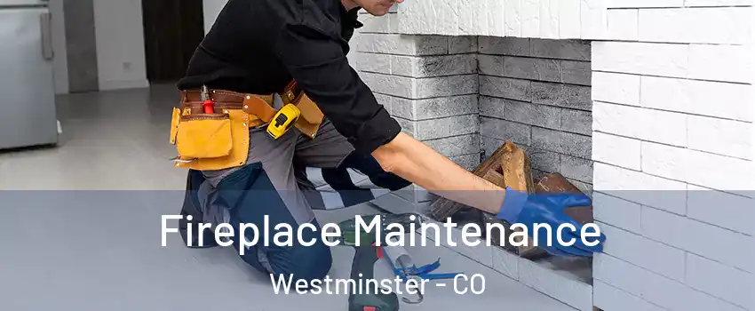 Fireplace Maintenance Westminster - CO