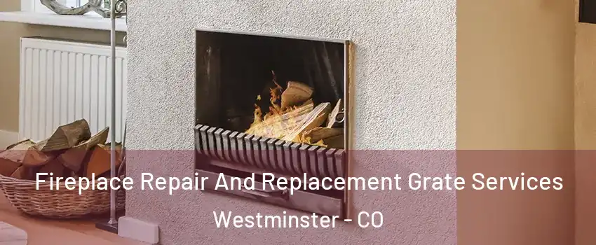 Fireplace Repair And Replacement Grate Services Westminster - CO