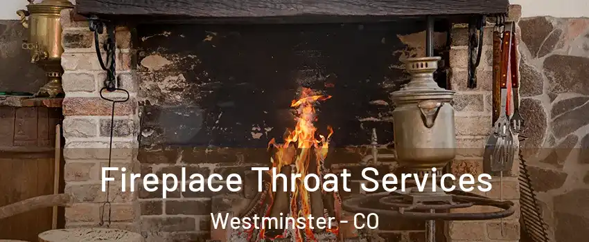 Fireplace Throat Services Westminster - CO