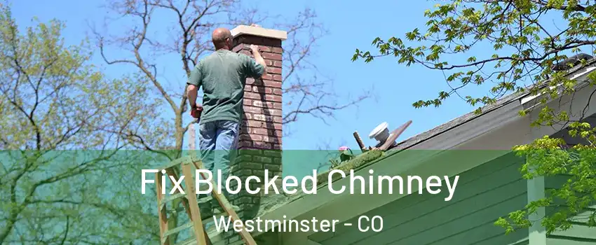 Fix Blocked Chimney Westminster - CO