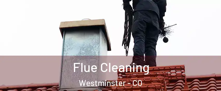 Flue Cleaning Westminster - CO