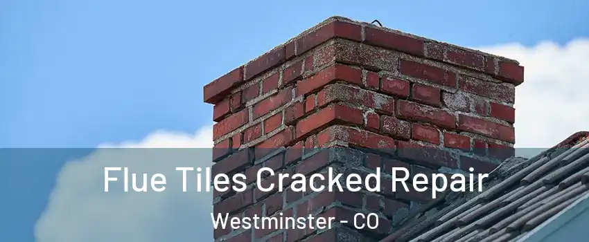 Flue Tiles Cracked Repair Westminster - CO