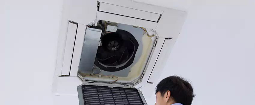 Benefits of Professional Air Duct Cleaning in Westminster, Colorado