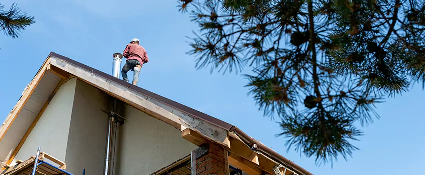 Birds Removal Contractors from Chimney in Westminster, CO