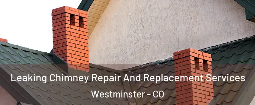 Leaking Chimney Repair And Replacement Services Westminster - CO