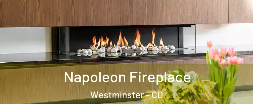 Napoleon Fireplace Westminster - CO