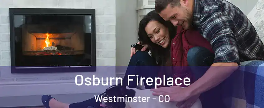 Osburn Fireplace Westminster - CO