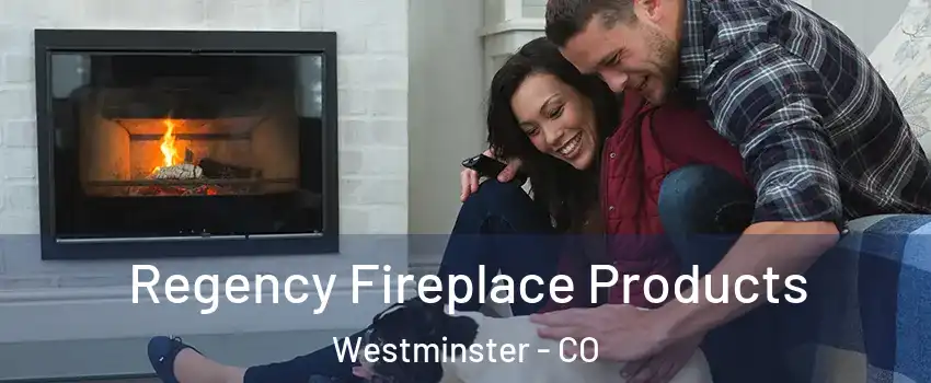 Regency Fireplace Products Westminster - CO