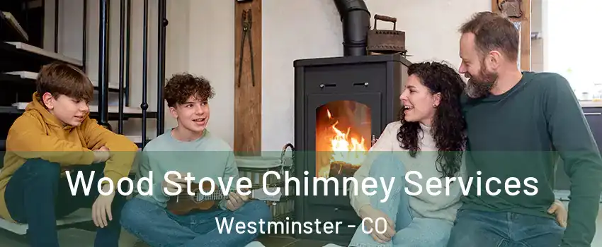 Wood Stove Chimney Services Westminster - CO